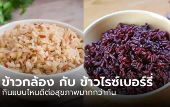 ข้าวกล้อง vs ข้าวไรซ์เบอร์รี่: เปรียบเทียบสุขภาพและประโยชน์ที่คุณต้องรู้